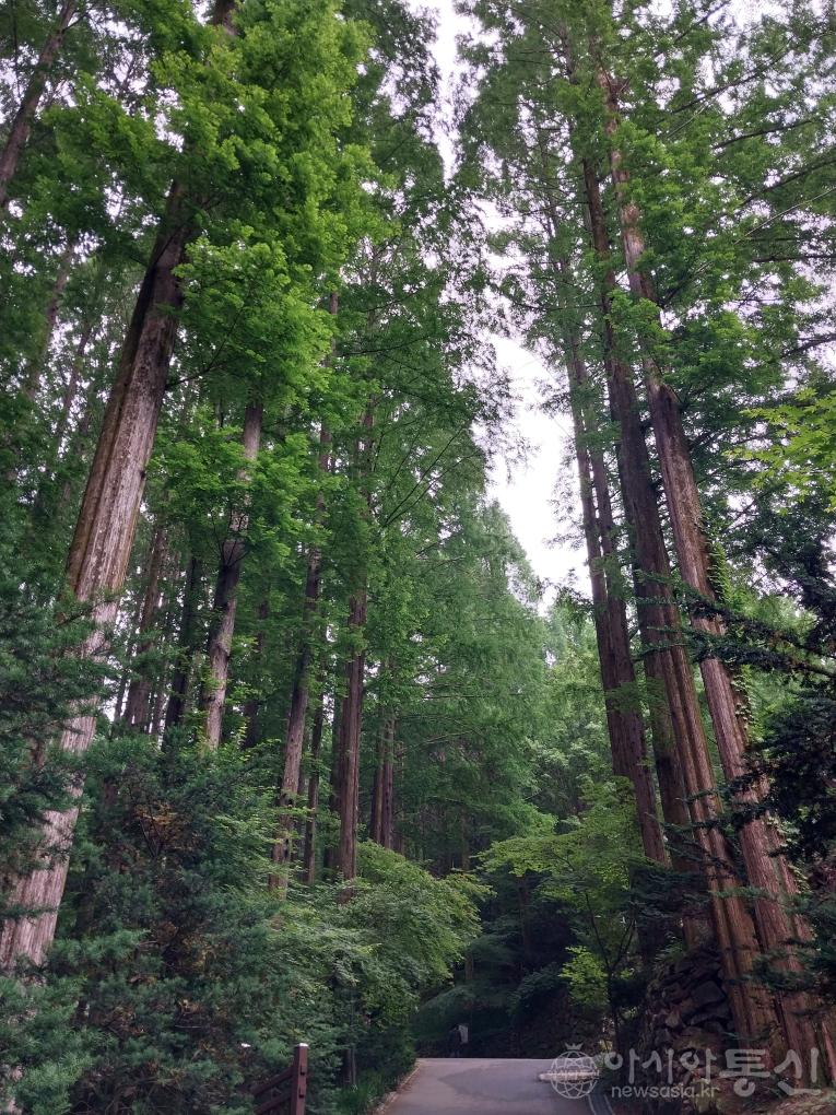 장16(작).jpg