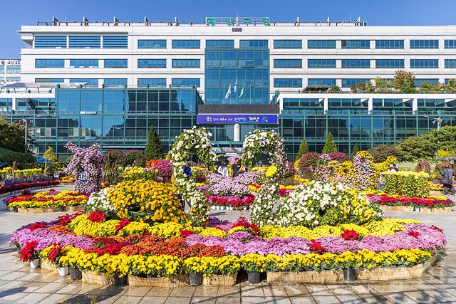 0920 계양구, 제15회 가을꽃 전시회 개최.jpg