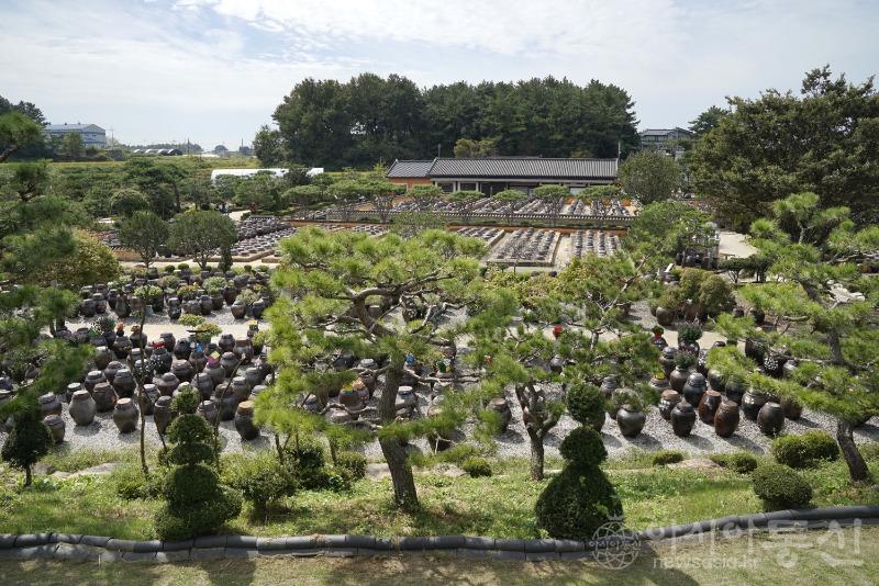 고34.jpg