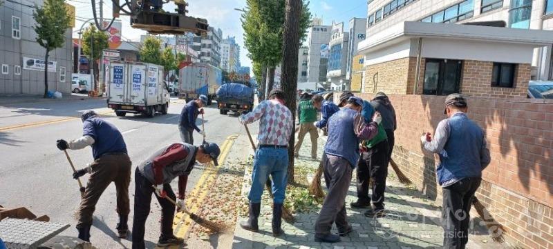 1017 계양구, 가로수 은행나무 열매 털기 완료(1).jpg