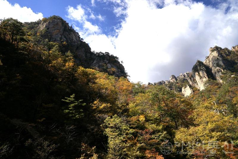 주34(보도)12.jpg