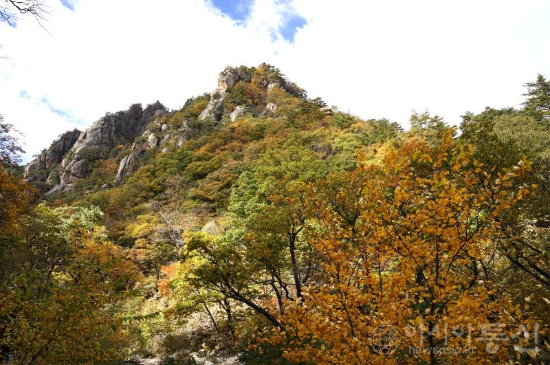 주1.jpg