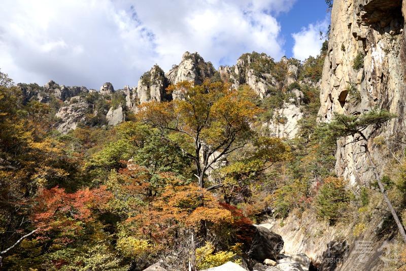 주17.jpg