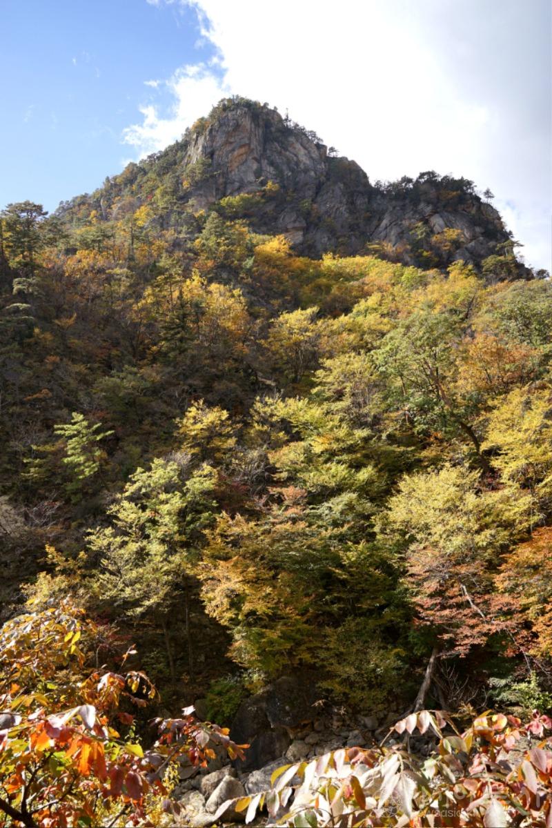 주22.jpg