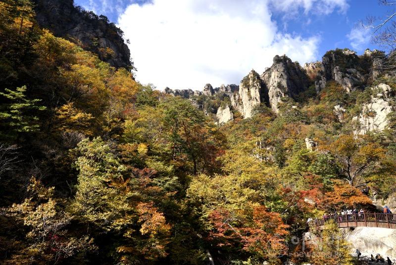 주29(보도).jpg