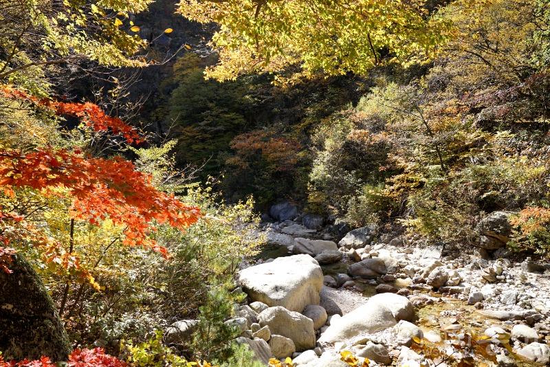 주83.jpg