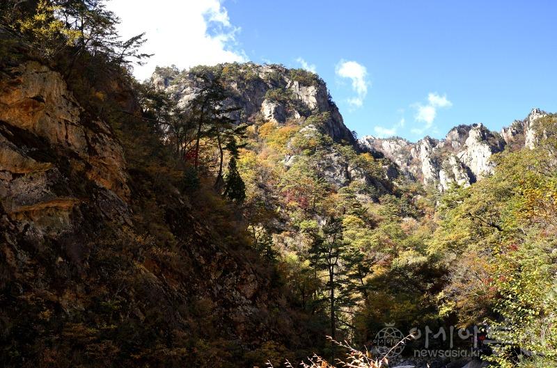 주113(보도).jpg