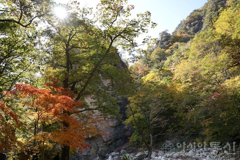 주148.jpg