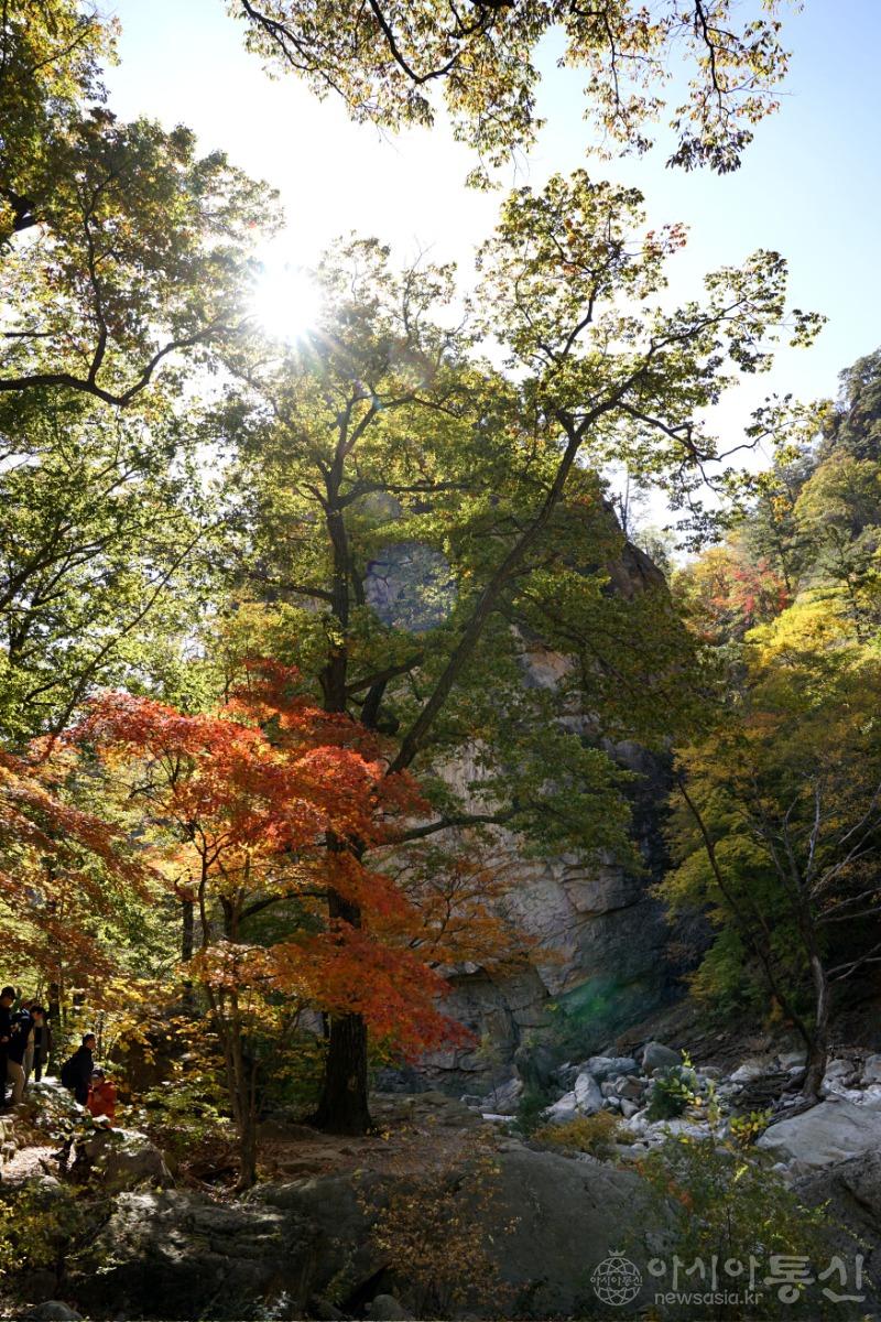 주147.jpg