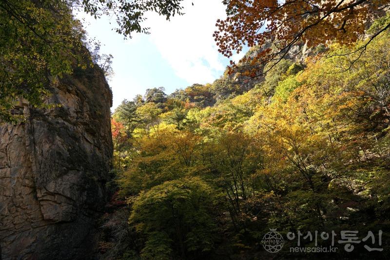 주188(작).jpg