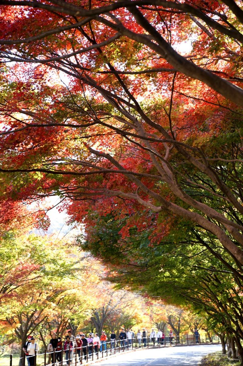 내17(보도).jpg