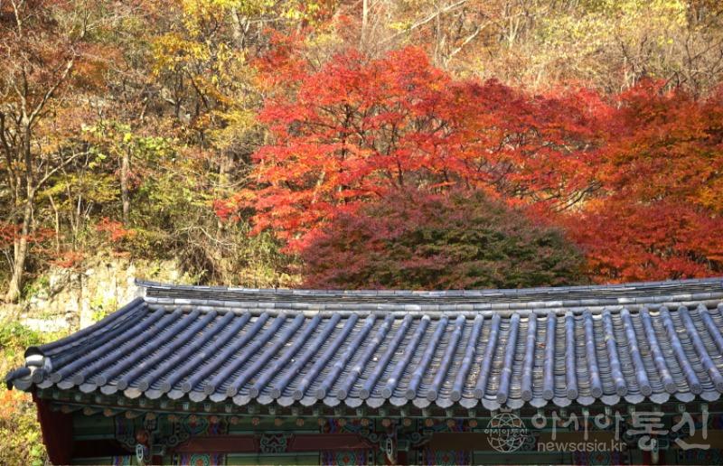 강72(작).jpg