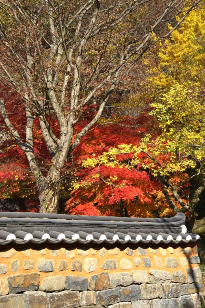 강151(작).jpg