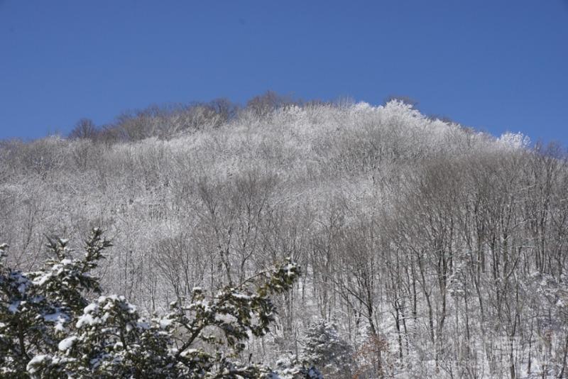 25599_41165_527.jpg