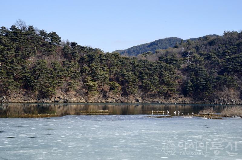 괴43(보도).jpg