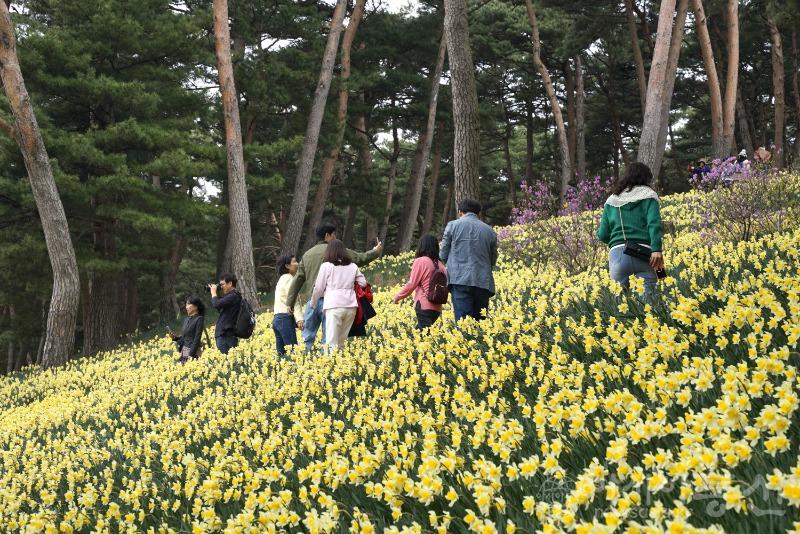 수7.jpg