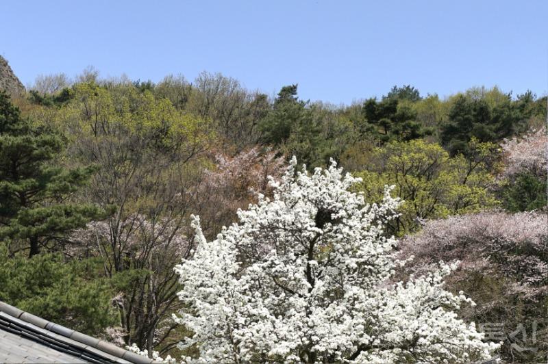 은7(작).jpg