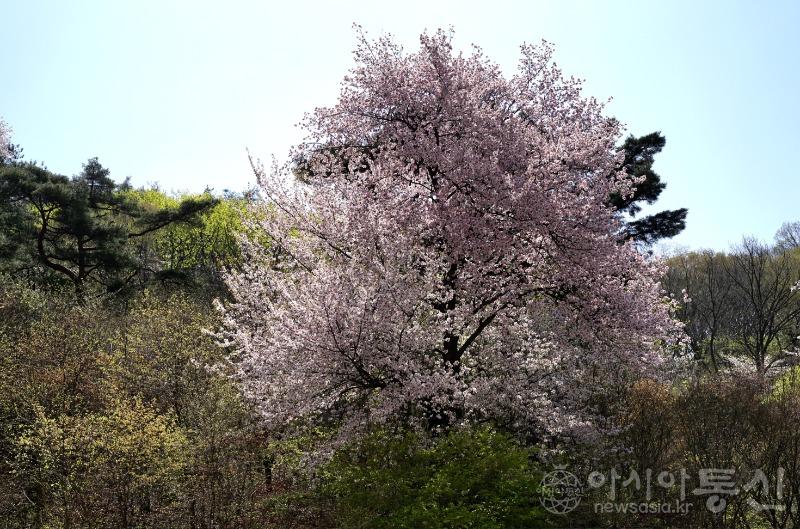 은21(작).jpg
