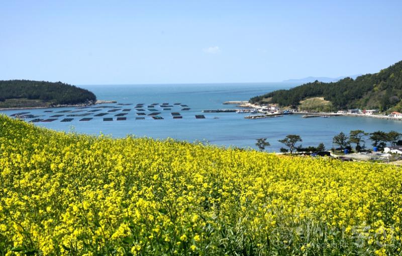 청4(작).jpg