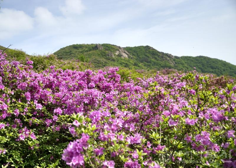 황10(작).jpg