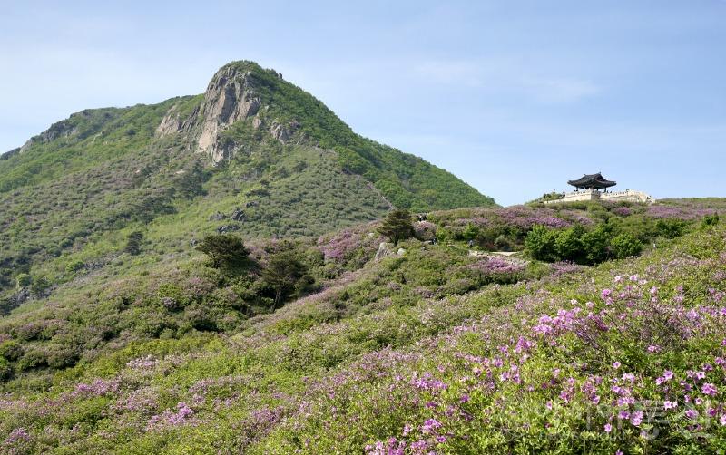 황55(작).jpg