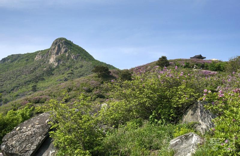 황58.jpg