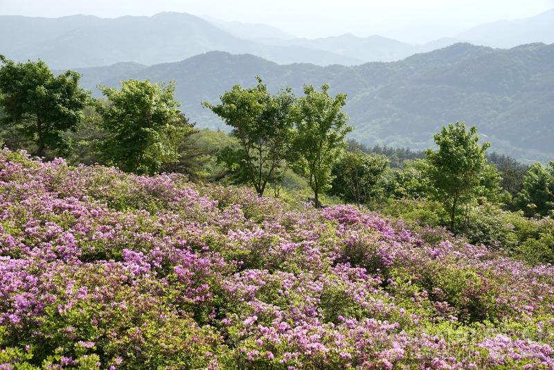 황70.jpg