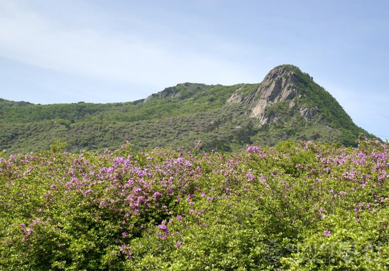 황57(작).jpg