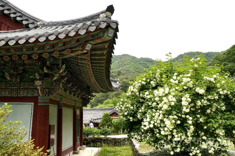수7.jpg