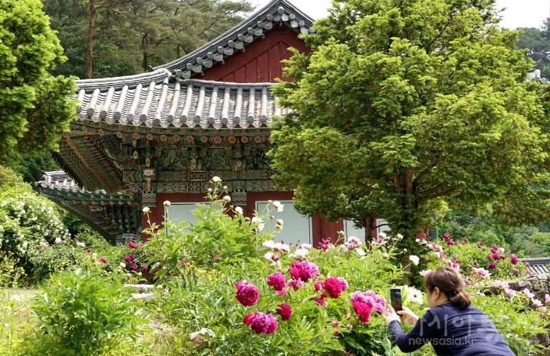 수76.jpg
