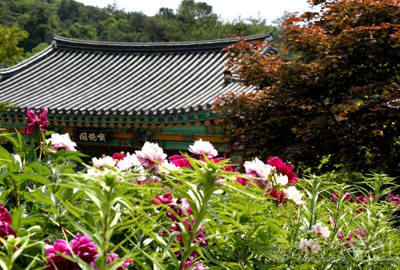 수84.jpg