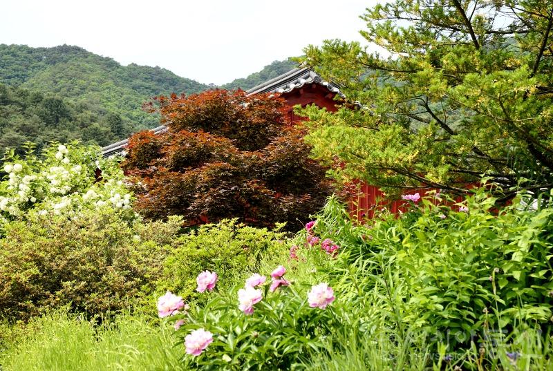 수89.jpg