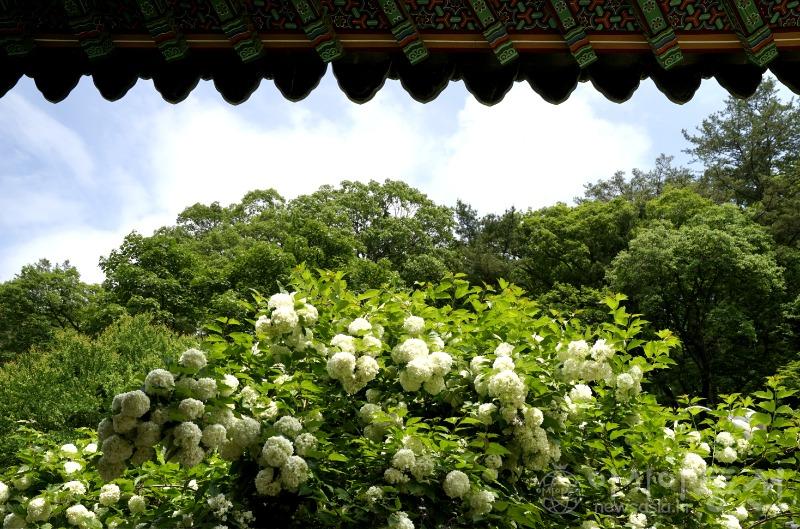 수94.jpg