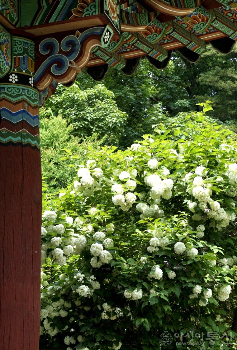수93.jpg