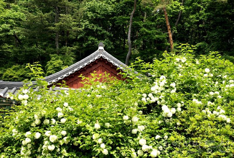 수119.jpg