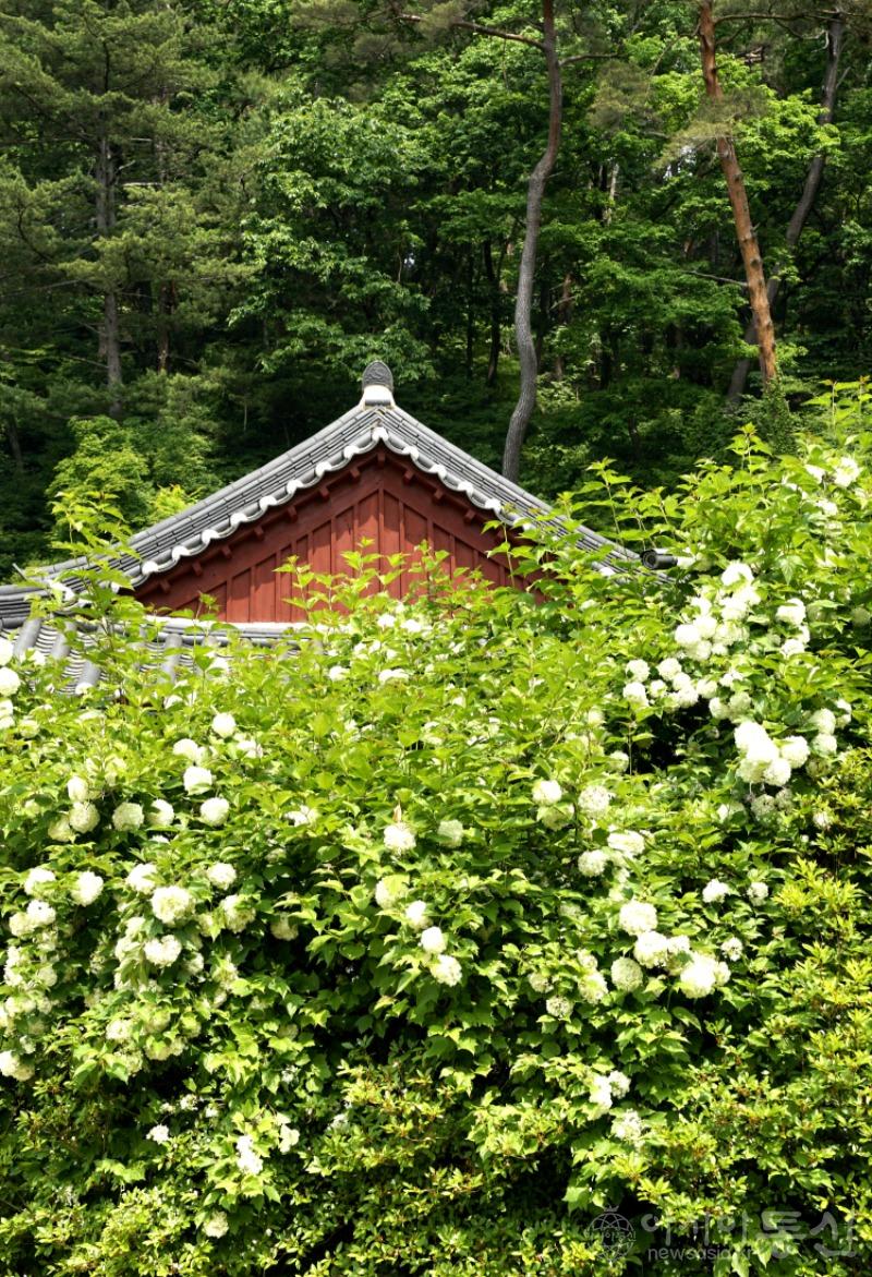 수117.jpg