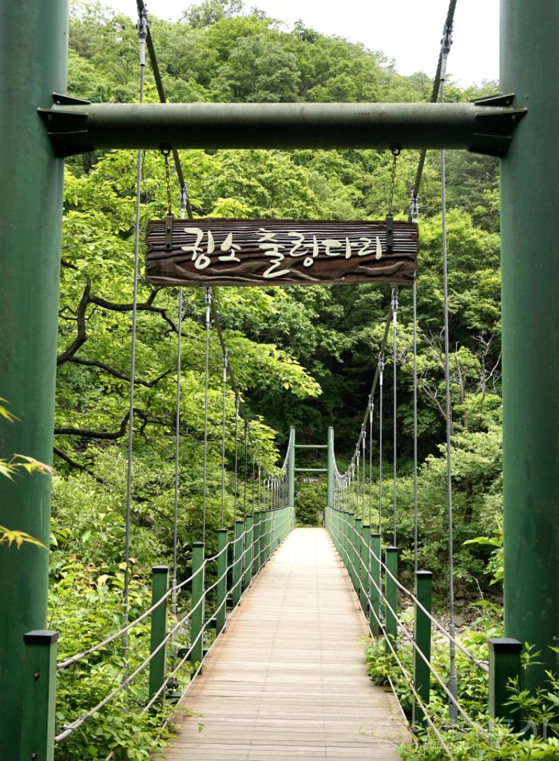 수45.jpg