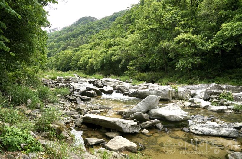 수54.jpg