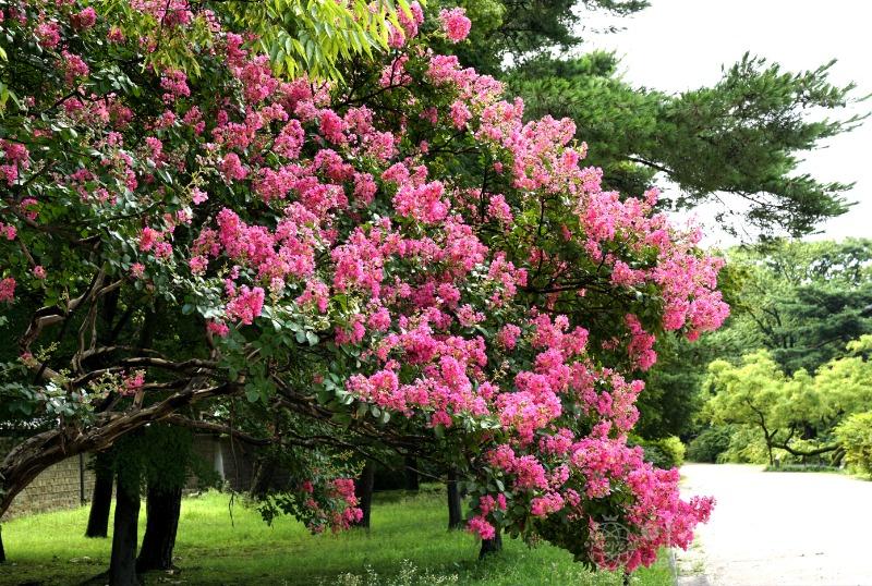 배7(작).jpg