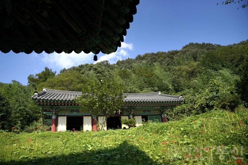 27555_44709_213(작).jpg