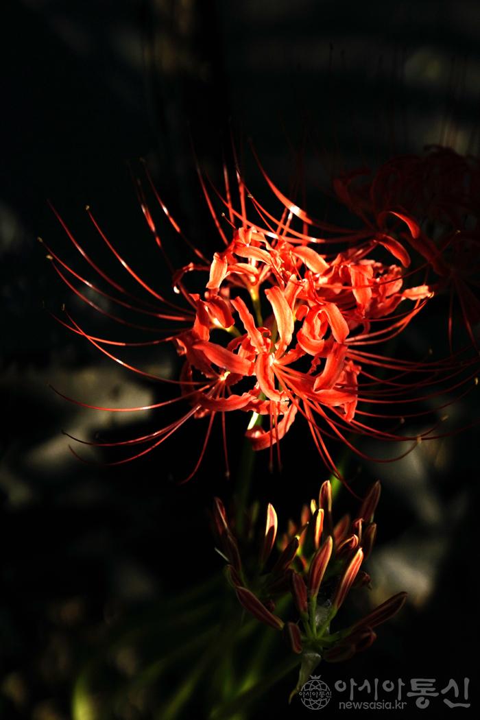 27557_44736_5923.jpg