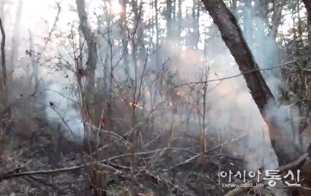 부산광역시 기장군 산불... 1시간 22분만에 진화완료