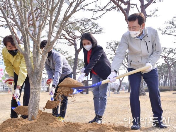 시원하고 푸른 광주광역시, 나무심기로 만들어요