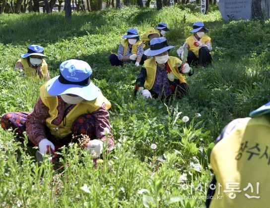 장수군, 2022년 노인일자리 사업 본격 추진