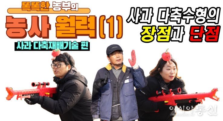 사과 다축재배의 궁금증, 클릭 한 번으로 해결!