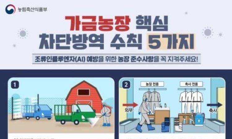 농식품부, 전남 영암 육용오리 농장에 대한 출하 전 검사에서 H5형 조류인플루엔자 항원 확인