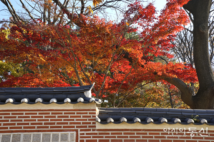 서울특별시 종로, <strong>"경복궁 가을"</strong>> 김광부 @
