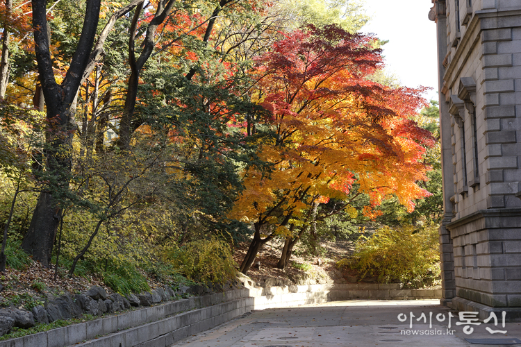<서울 중구, <strong>"대한제국의 황궁 덕수궁 추경"</strong>> 김광부 @