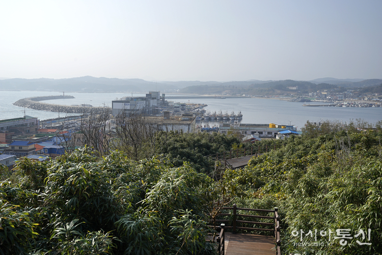 <경북 울진<strong>, " 죽변항 등대 전망대에서 바라본 죽변항 "</strong>> 김광부 @