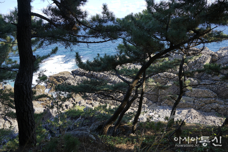 <경북 영덕 블루로드<strong> "해파랑길 최고의 산책길"</strong>> 김광부 @